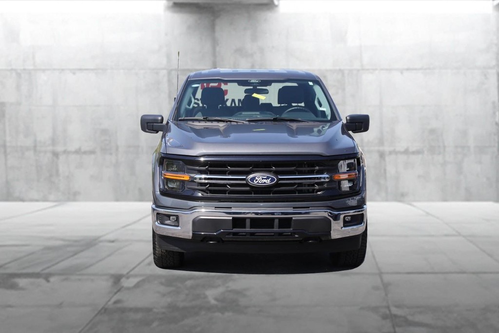 Ford F-150 Vehicle Image 04