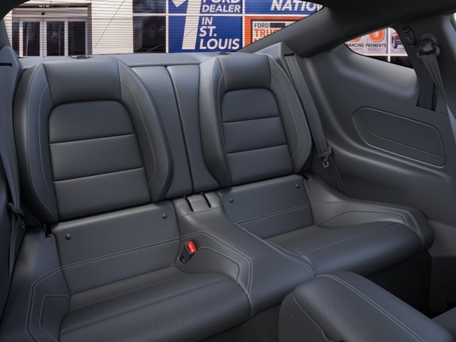 Ford Mustang Vehicle Image 11