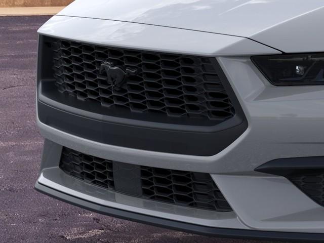 Ford Mustang Vehicle Image 17
