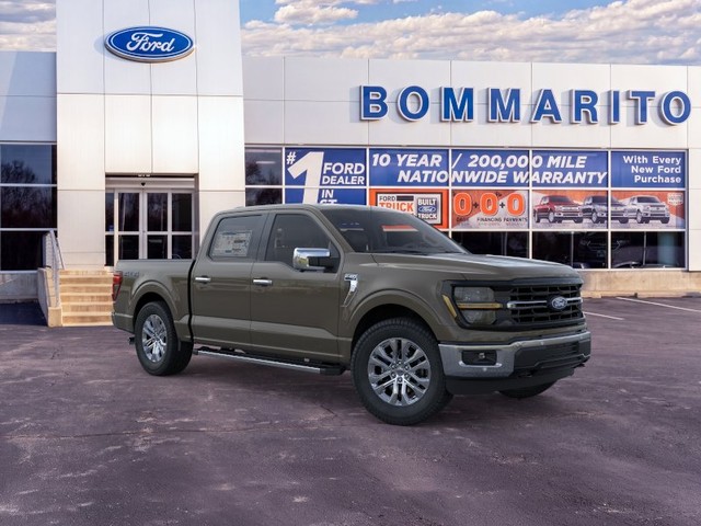 Ford F-150 Vehicle Image 07