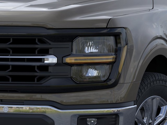 Ford F-150 Vehicle Image 18