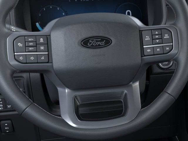 Ford F-150 Vehicle Image 12