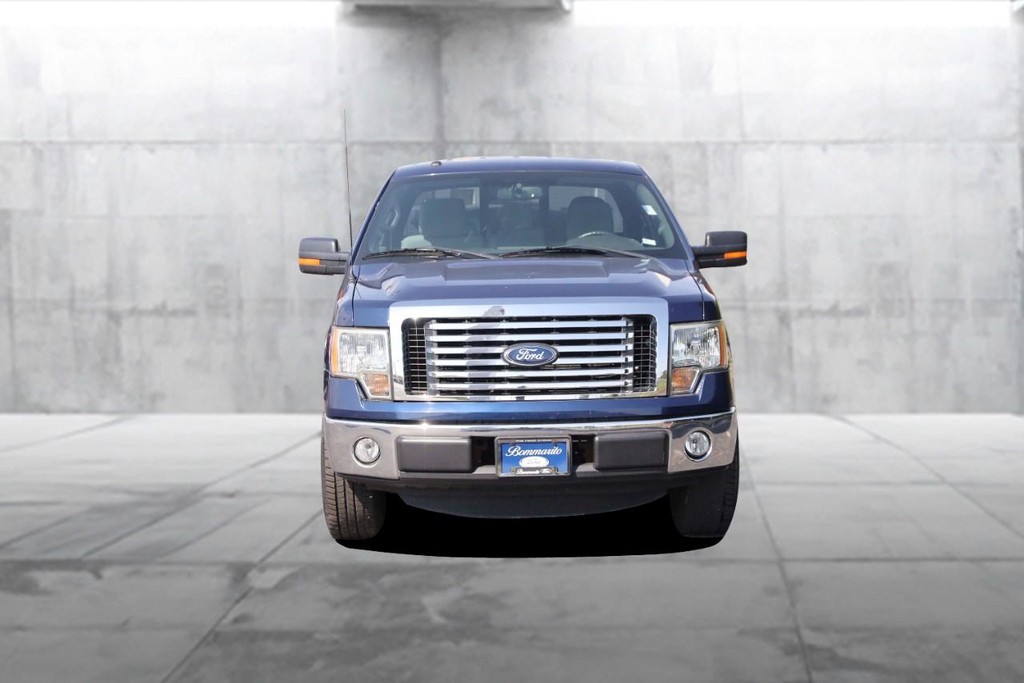 Ford F-150 Vehicle Image 04