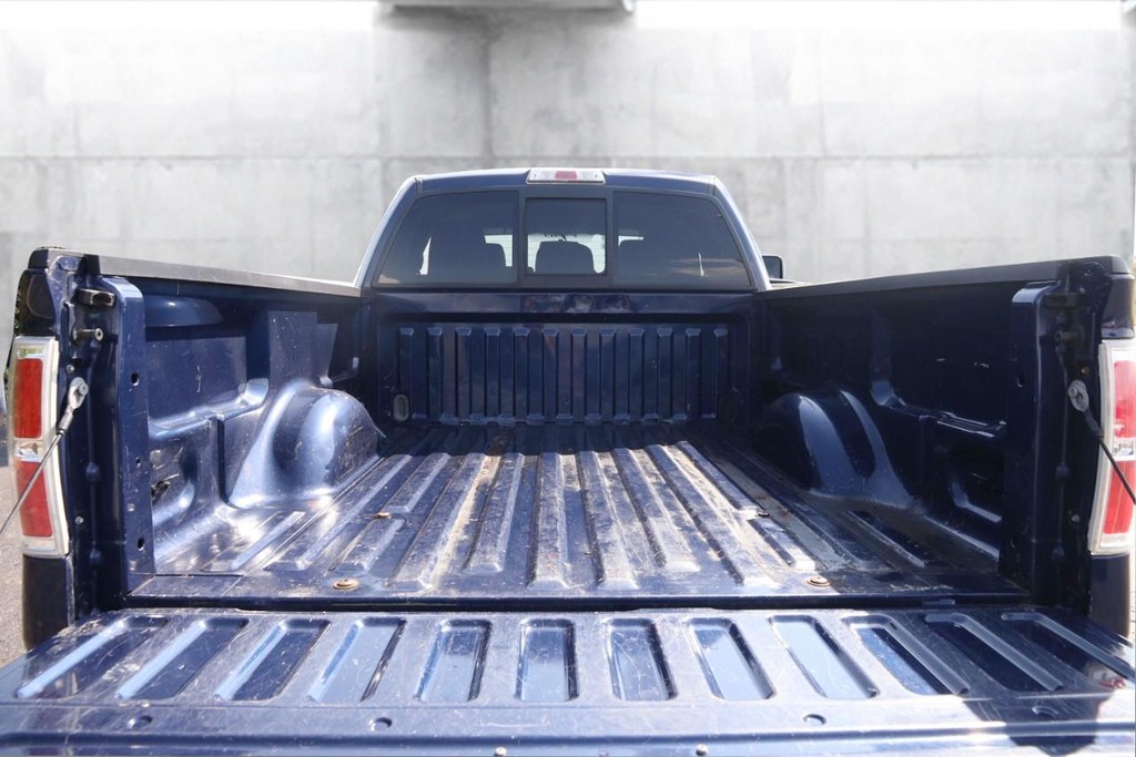 Ford F-150 Vehicle Image 08