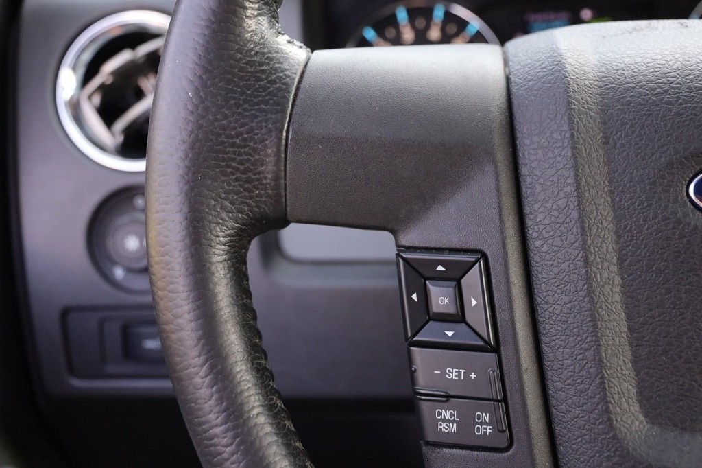 Ford F-150 Vehicle Image 13