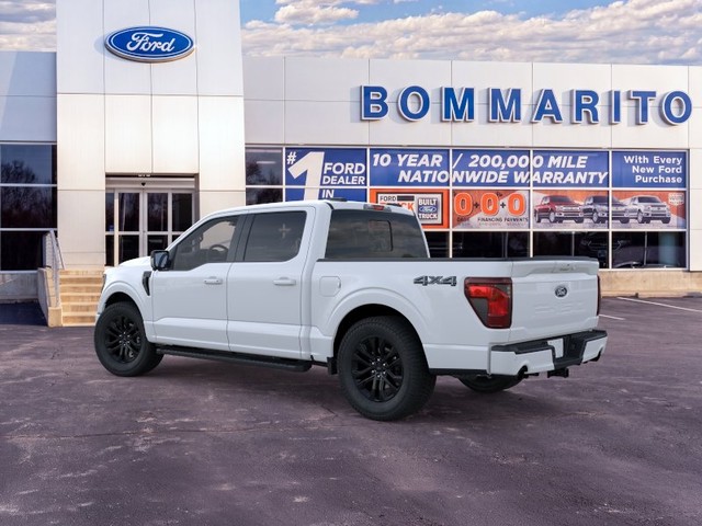 Ford F-150 Vehicle Image 04