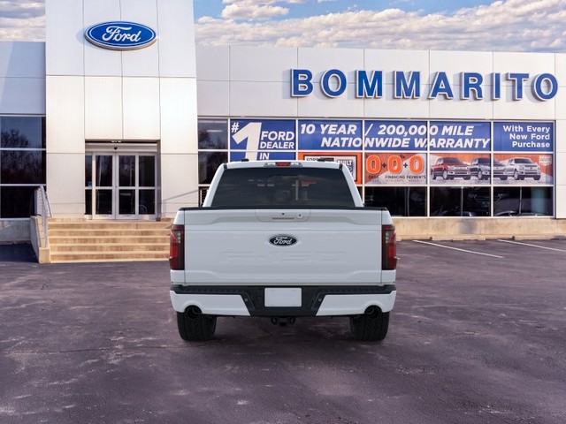 Ford F-150 Vehicle Image 05