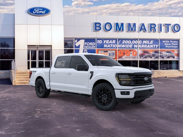 Ford F-150 Vehicle Image 07