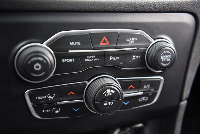 Dodge Charger Vehicle Image 15
