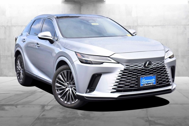 Lexus RX Vehicle Image 02