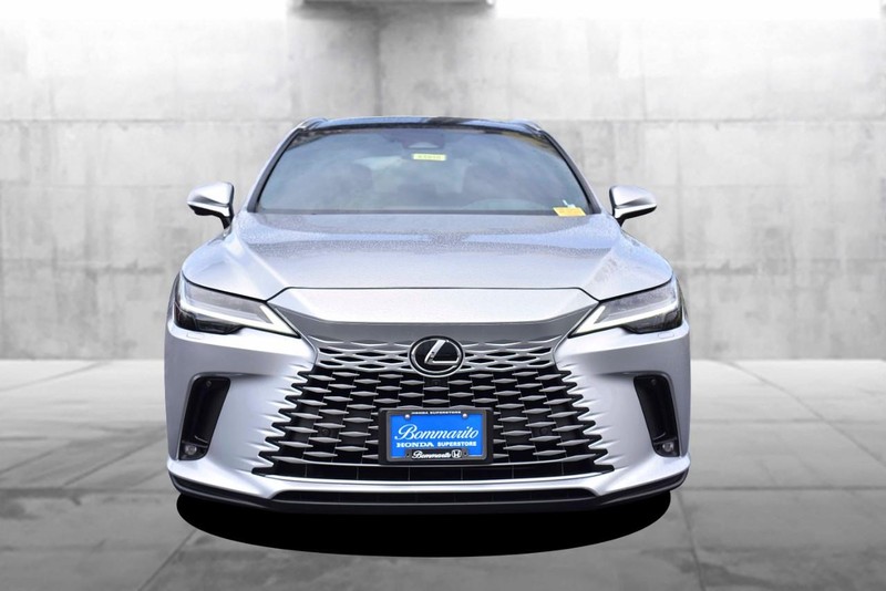 Lexus RX Vehicle Image 04