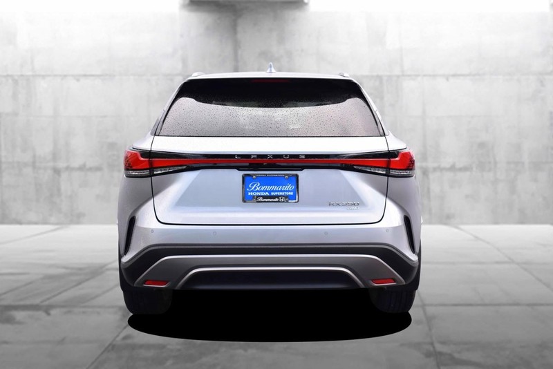 Lexus RX Vehicle Image 06