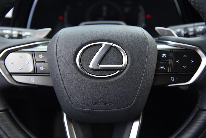 Lexus RX Vehicle Image 20