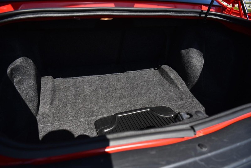 Dodge Challenger Vehicle Image 22