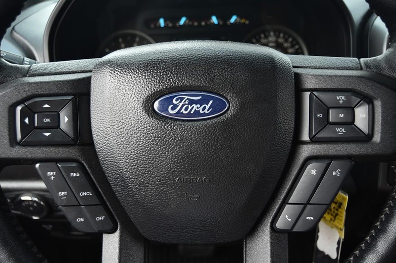 Ford F-150 Vehicle Image 19