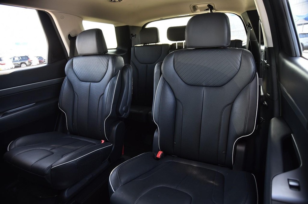 Hyundai Palisade Vehicle Image 20