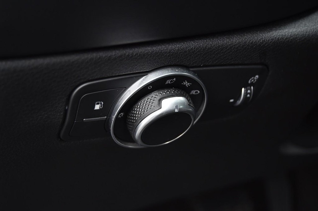 Dodge Hornet Vehicle Image 11