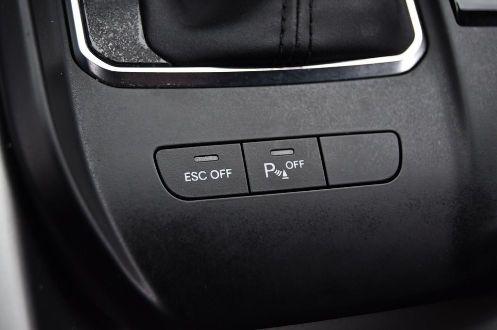 Dodge Hornet Vehicle Image 18