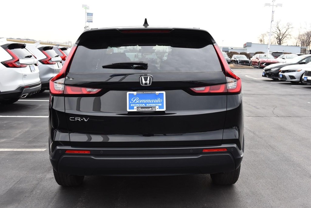 Honda CR-V Vehicle Image 06