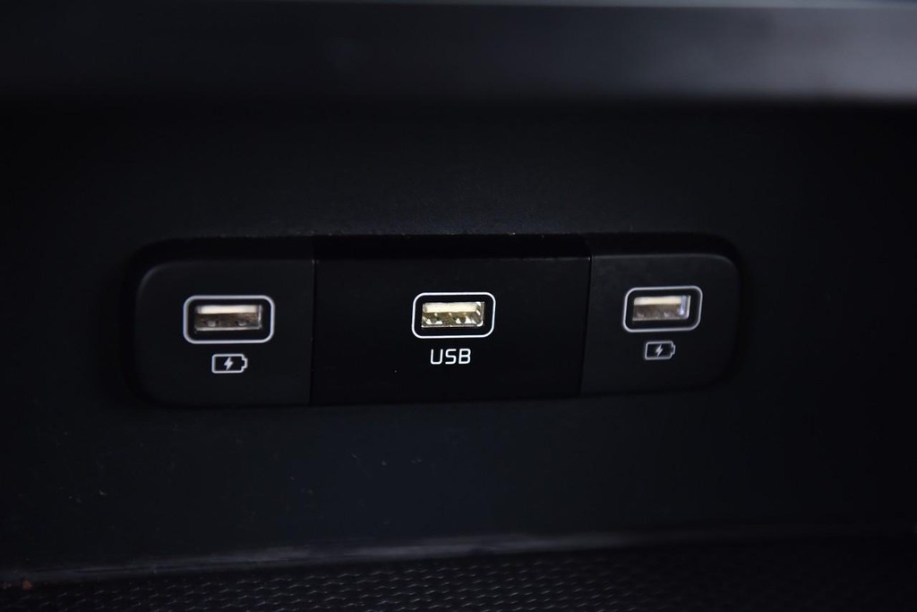 Kia Carnival Vehicle Image 15