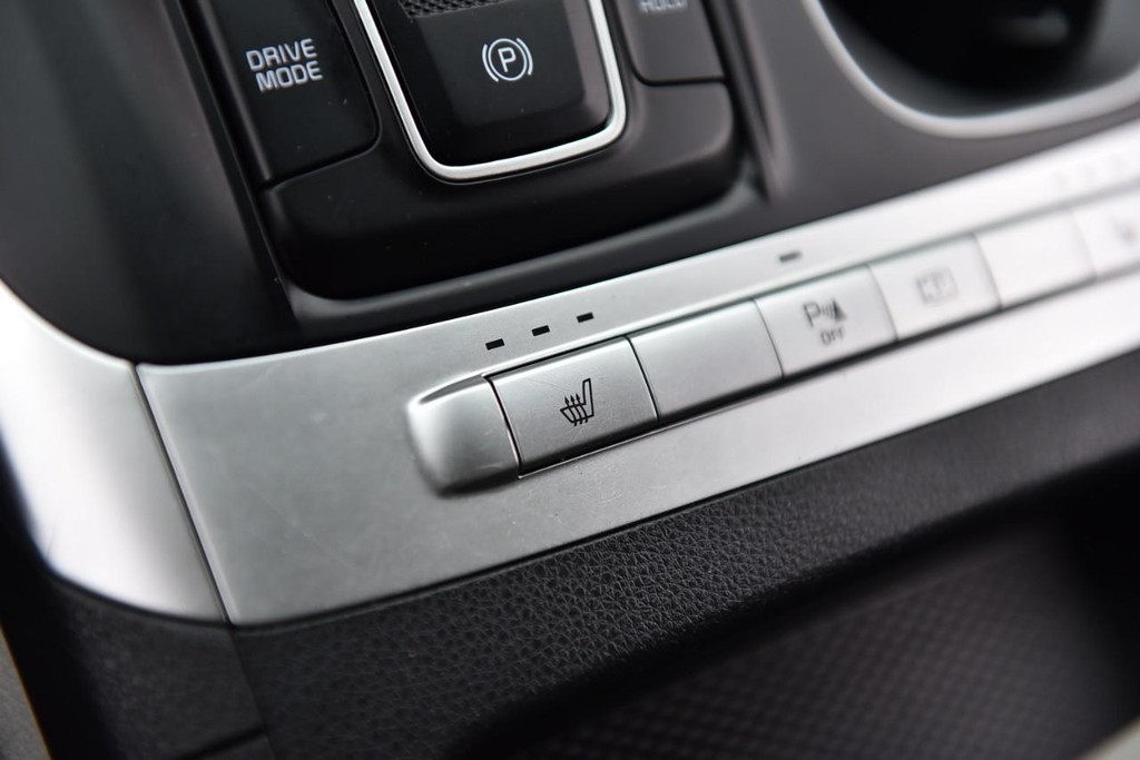 Kia Carnival Vehicle Image 16