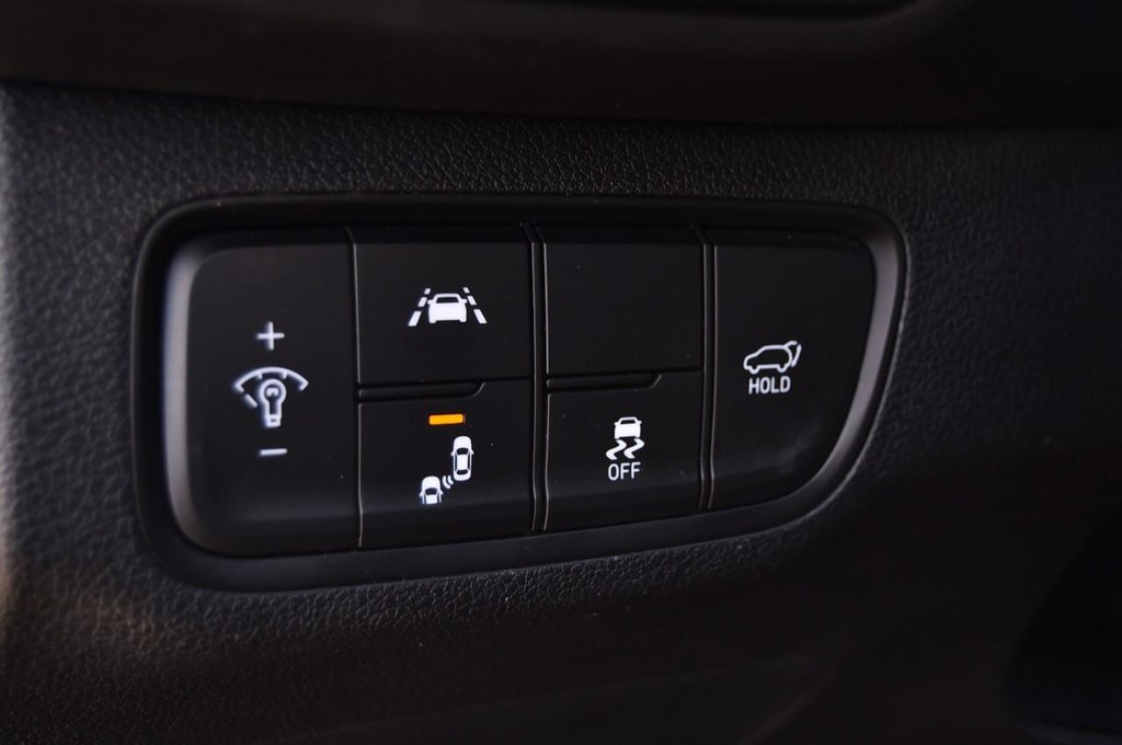 Hyundai Santa Fe Vehicle Image 11