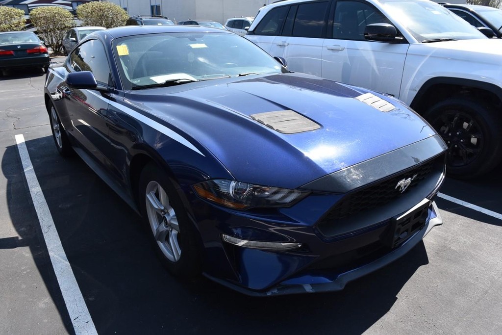 Ford Mustang Vehicle Full-screen Gallery Image 4