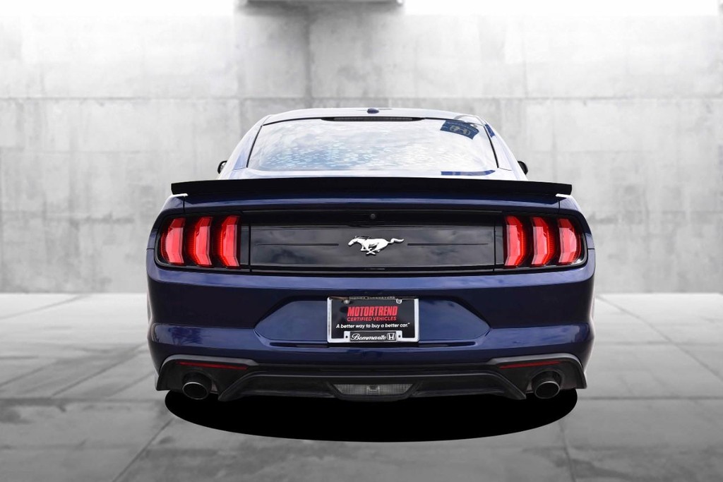 Ford Mustang Vehicle Image 06