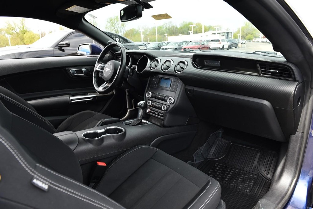 Ford Mustang Vehicle Image 08