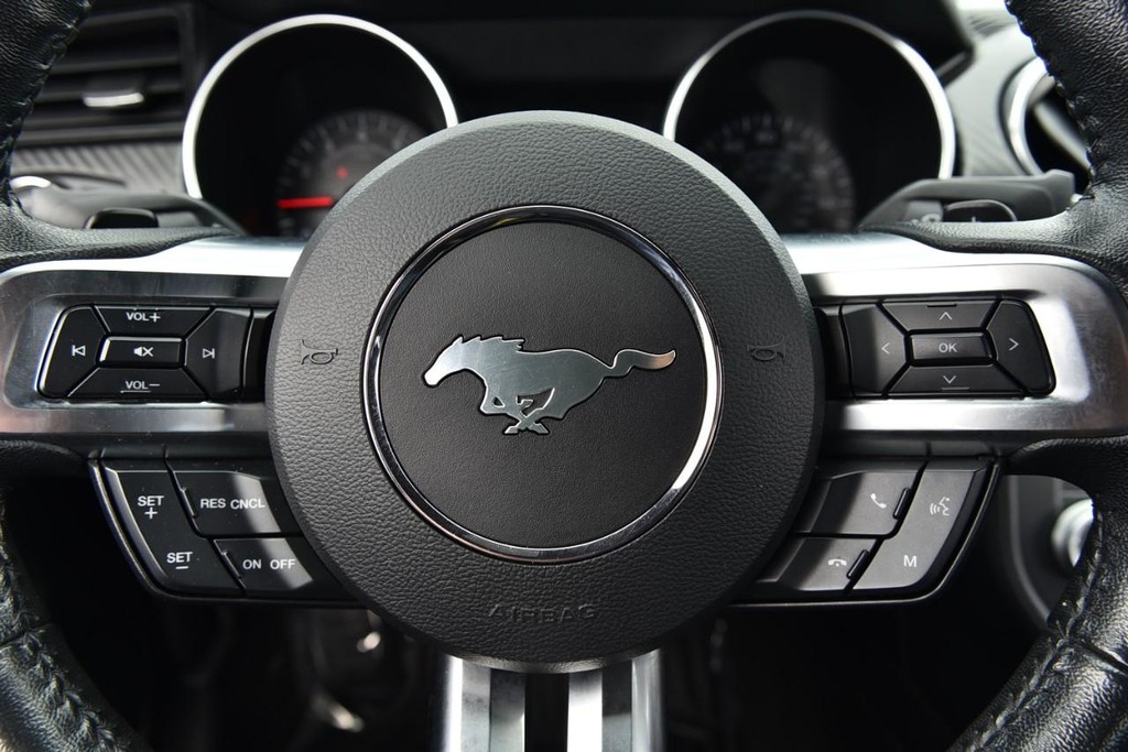 Ford Mustang Vehicle Image 14