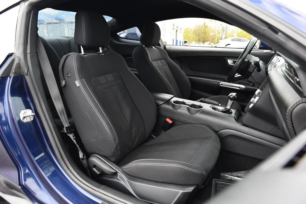 Ford Mustang Vehicle Image 17