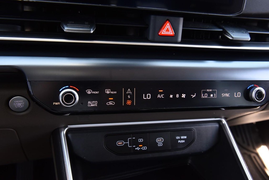 Kia Carnival Vehicle Image 14