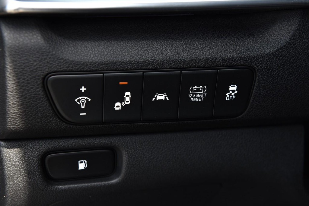 Kia Niro Vehicle Image 10