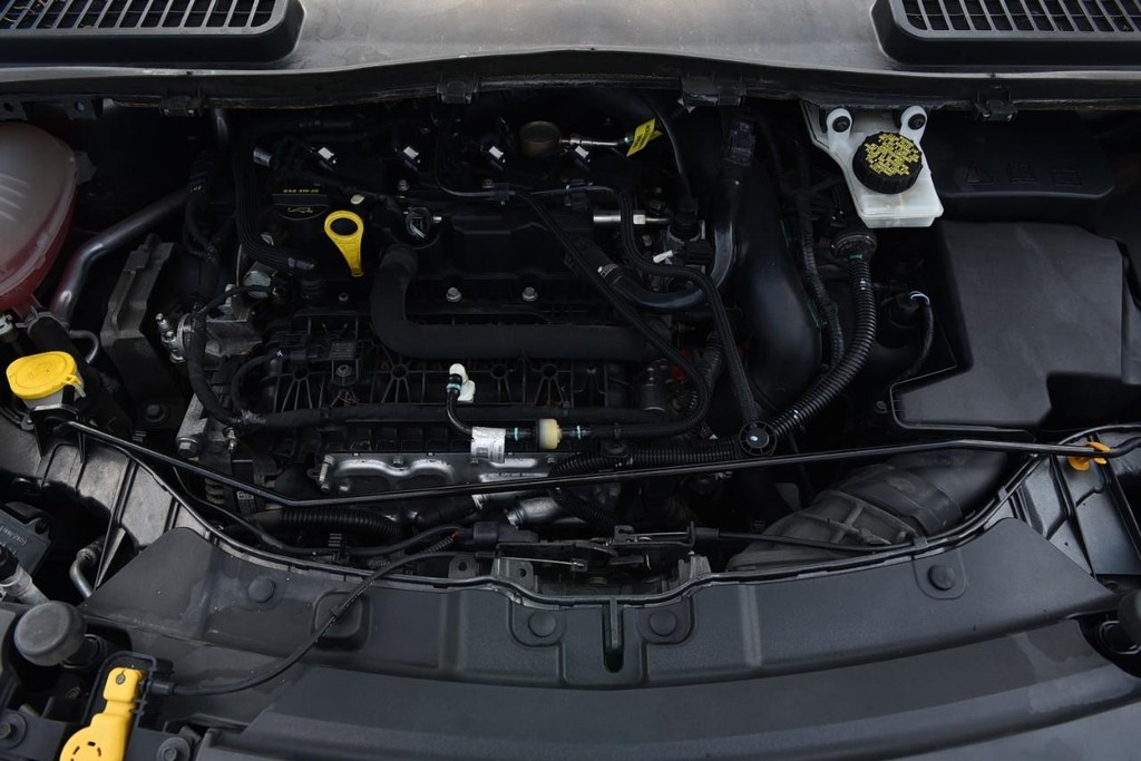 Ford Escape Vehicle Image 22