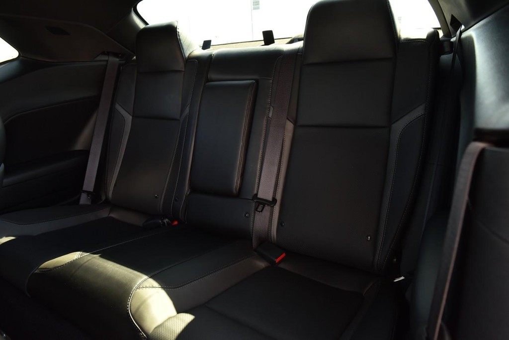 Dodge Challenger Vehicle Image 23
