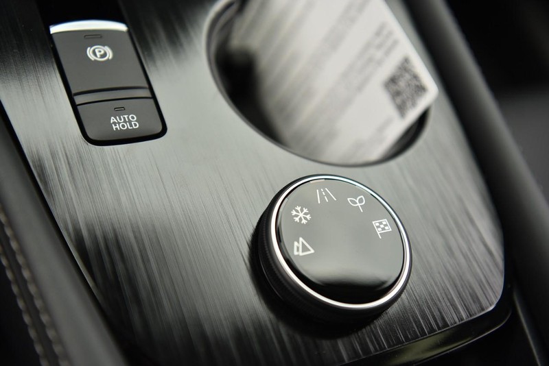 Nissan Rogue Vehicle Image 20