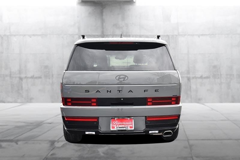 Hyundai Santa Fe Vehicle Image 06