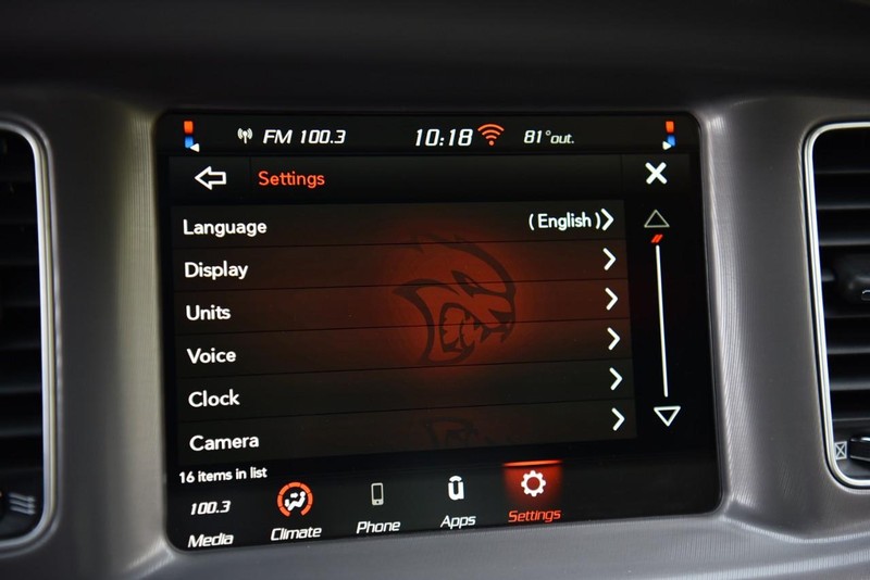 Dodge Charger Vehicle Image 14