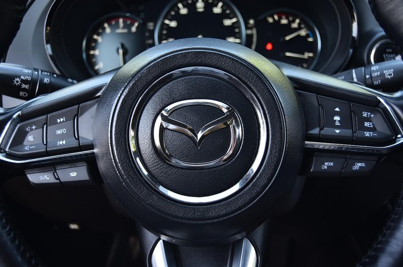 Mazda CX-9 Vehicle Image 19