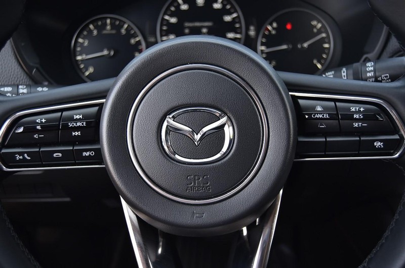 Mazda CX-90 Vehicle Image 19
