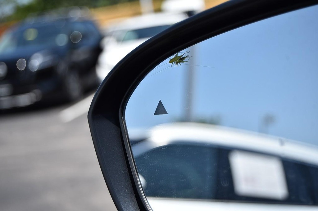 Nissan Kicks Vehicle Image 10