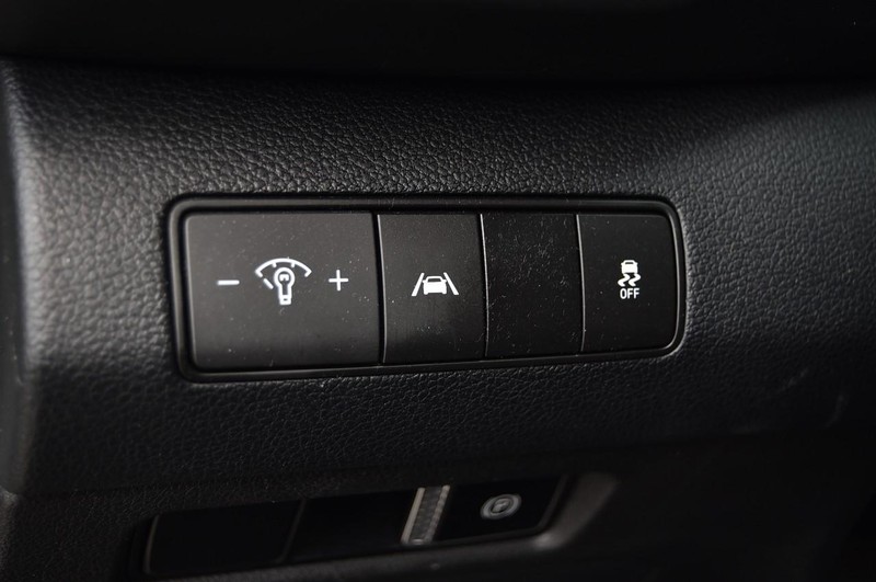 Hyundai Santa Fe Vehicle Image 11