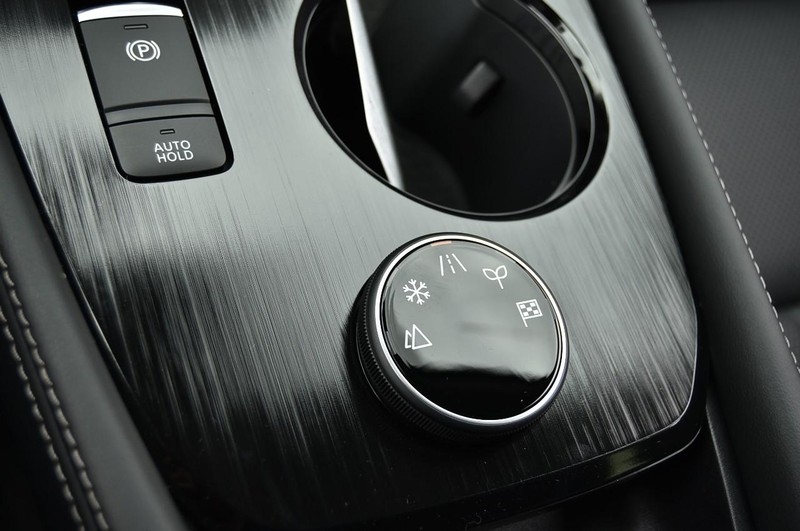 Nissan Rogue Vehicle Image 20