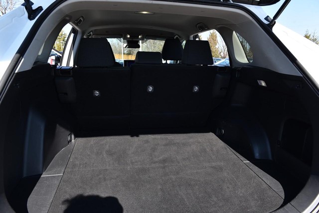 Toyota RAV4 Vehicle Image 21