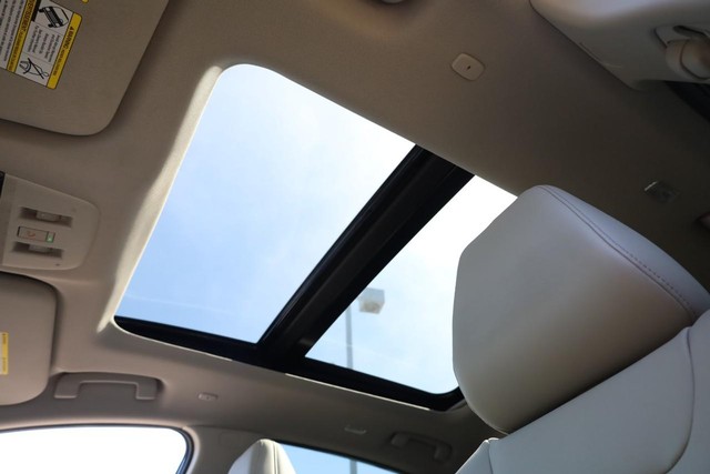 Nissan Murano Vehicle Image 09