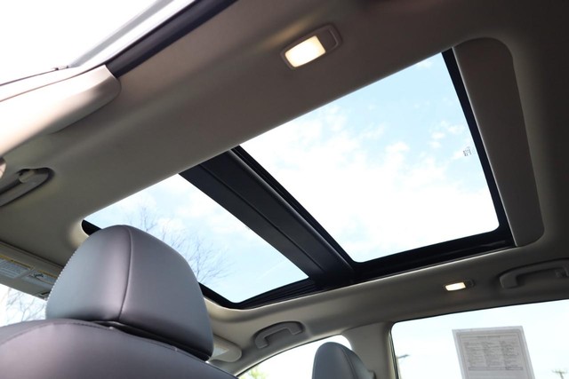 Nissan Murano Vehicle Image 12