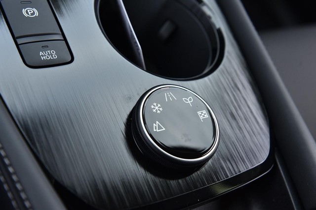 Nissan Rogue Vehicle Image 21