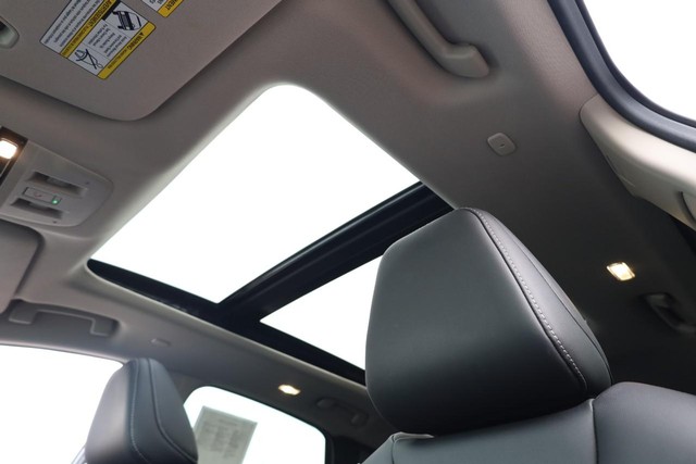 Nissan Murano Vehicle Image 09