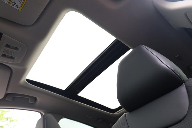 Nissan Murano Vehicle Image 09