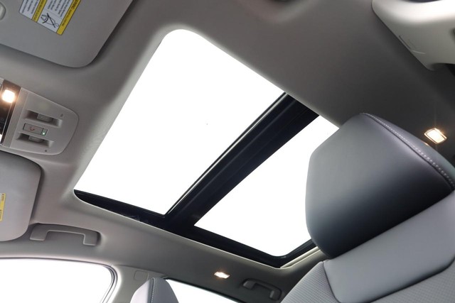 Nissan Murano Vehicle Image 09
